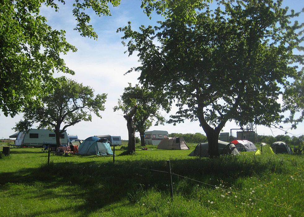 Tenten en caravans op een grasveld met oude bomen op camping MiO in Ottendorf bij Chemnitz op een zonnige dag.