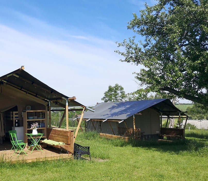 Zelte unter Bäumen auf einer sonnigen Wiese auf einem Campingplatz