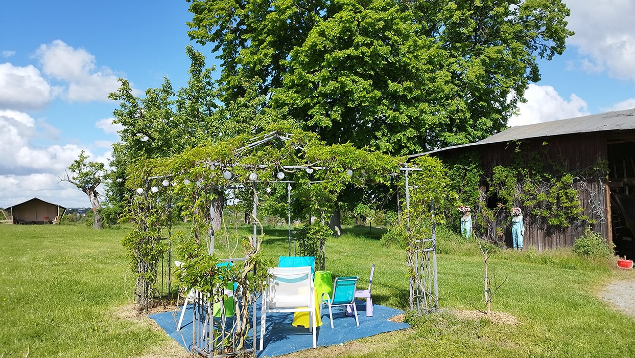 Zitplek met gekleurde stoelen onder een met groen begroeide metalen pergola op camping MiO in Ottendorf bij Chemnitz. Daarnaast een houten gebouw met klimplanten, op de achtergrond bomen en een tentaccommodatie.