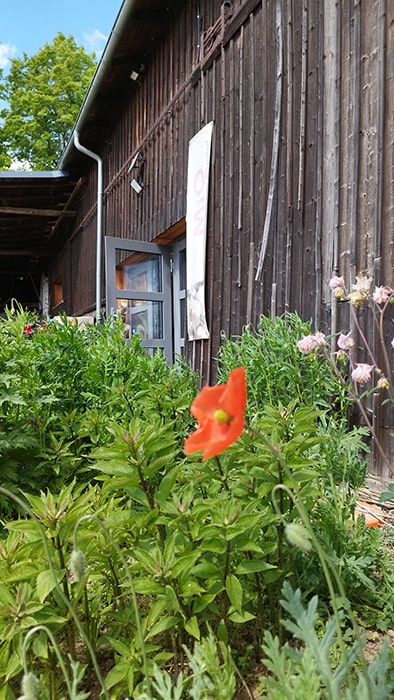 Houten gevel met open ingang en een beplant bloemperk met rode en roze bloemen op camping MiO in Ottendorf bij Chemnitz. Op de achtergrond een verticaal bord met het opschrift 'MiO'.